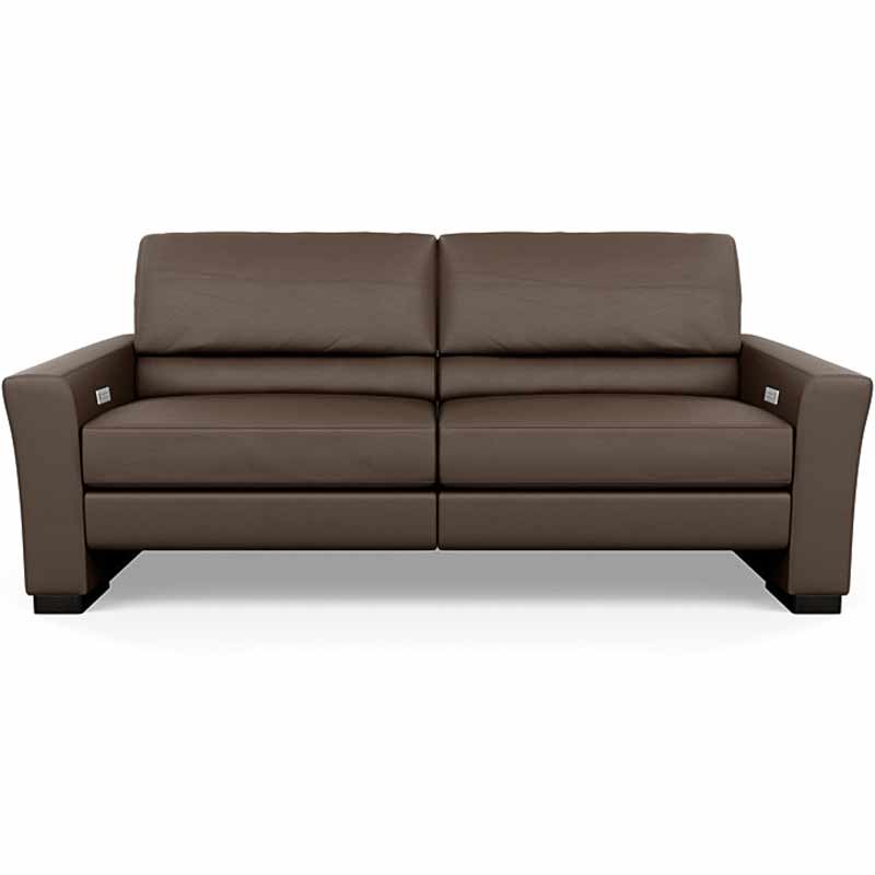 Sofa  American Leather