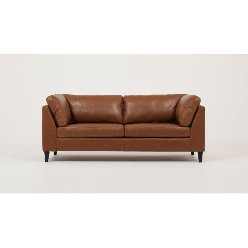 Apartment Leather Sofa  EQ3